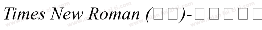 Times New Roman (正文)字体转换
